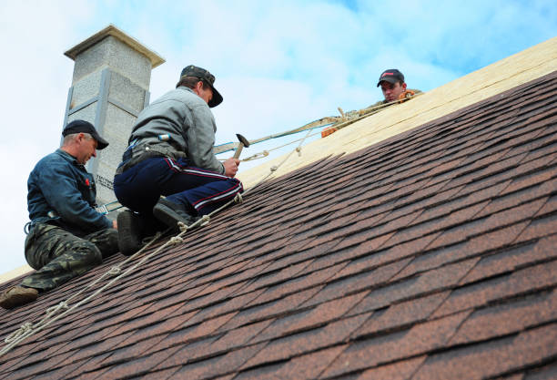 Quick and Trustworthy Emergency Roof Repair Services in Wahneta, FL