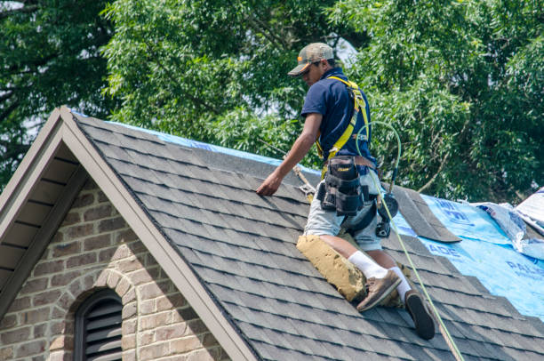 Trusted Wahneta, FL Roofing Contractor Experts